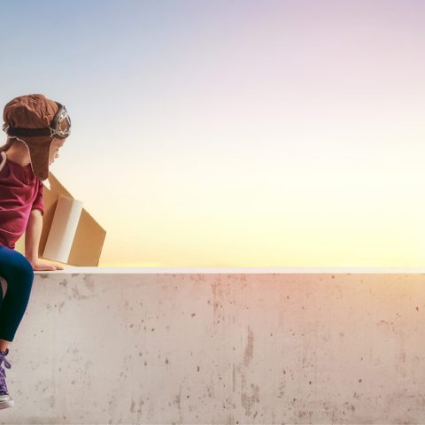 cofect loopbaan begeleiding