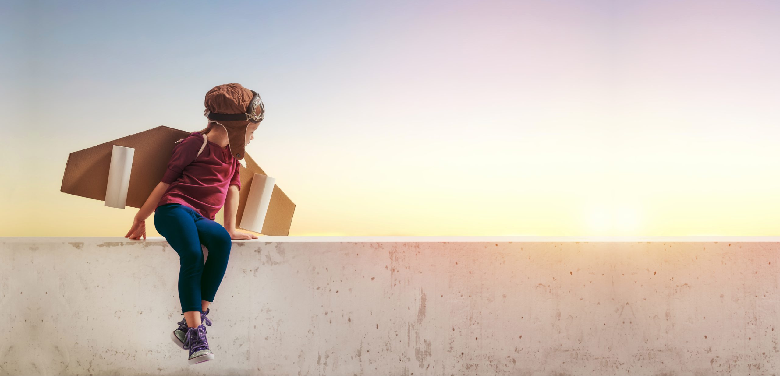 cofect loopbaan begeleiding